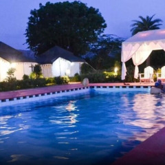 tiger queen ranthambore