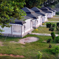 tiger queen ranthambore