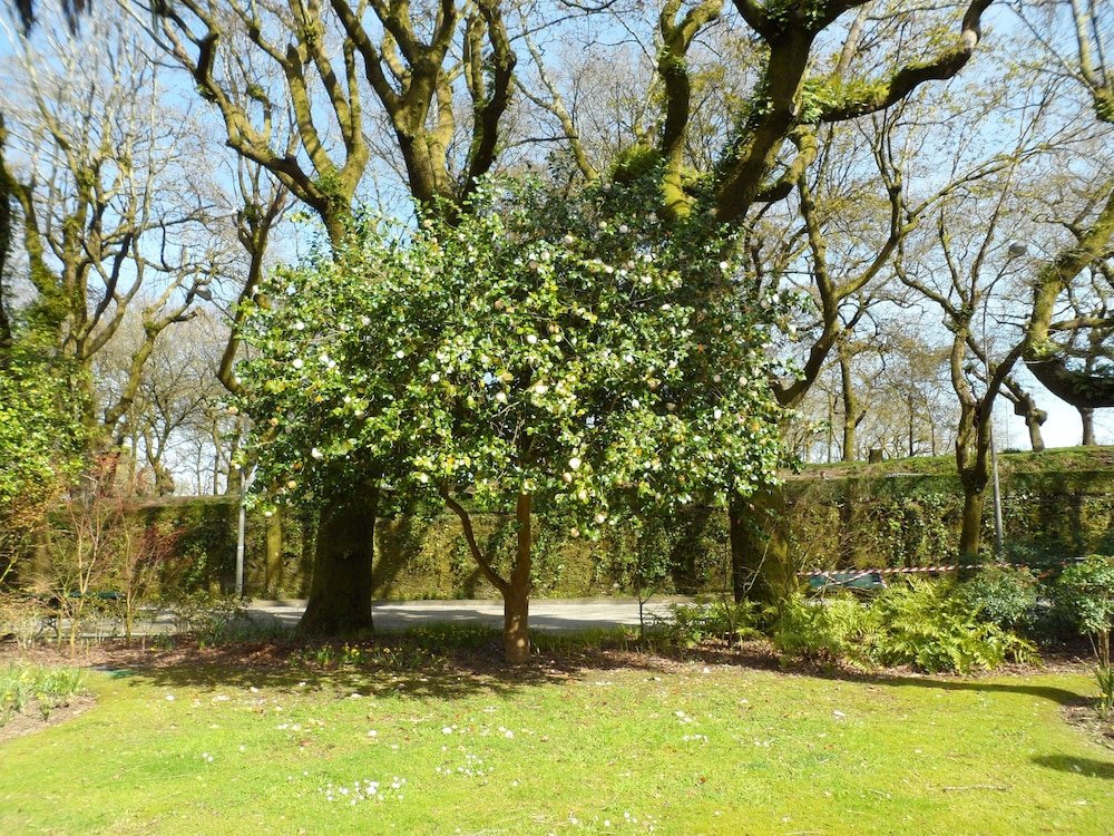 santiago de compostela