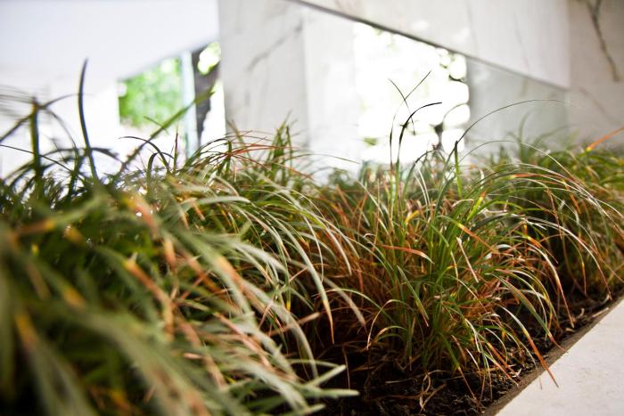 dream studios ba apartment