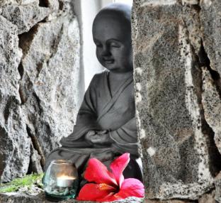 cocotiers hotel mauritius