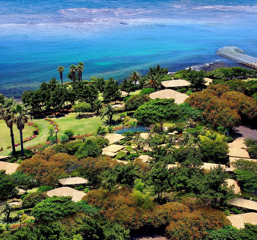 seaes hotel and resort