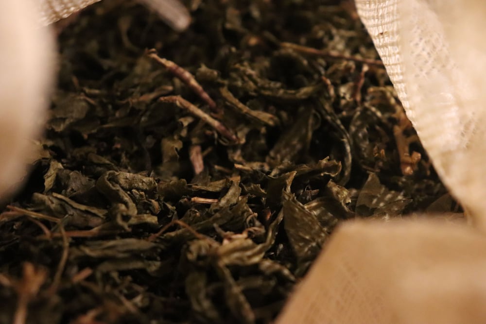 seaes hotel and resort