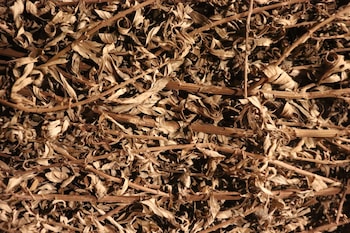 seaes hotel and resort