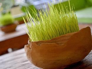 whiz hotel malioboro yogyakarta