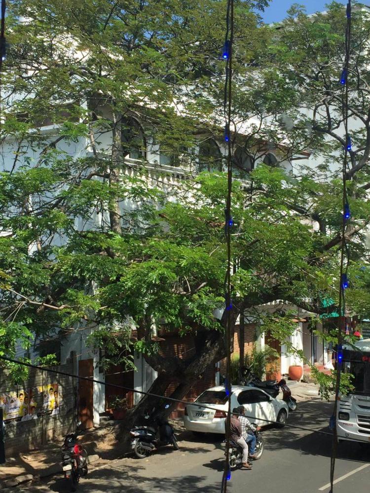 la maison pondichery