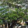 La Maison Pondichery,Puducherry>>Pondicherry,3 star