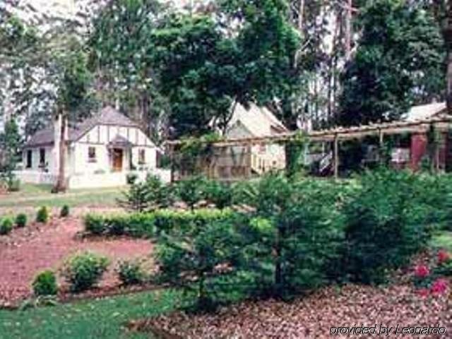 tamborine mountain
