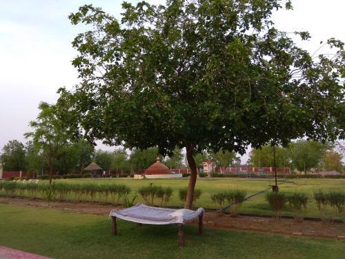 bikaner