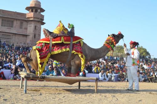 bikaner
