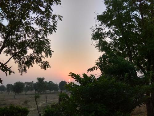 bikaner