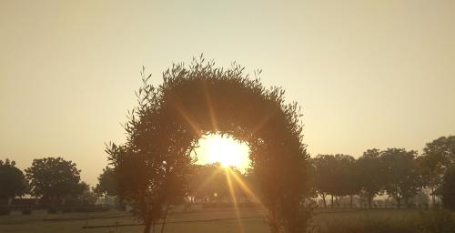 bikaner