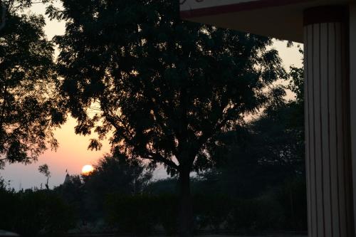 bikaner