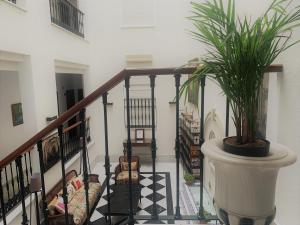 hotel dona blanca