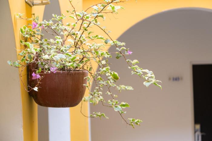 hotel san martin