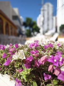Hotel San Martin,Cartagena De Indias,3 star