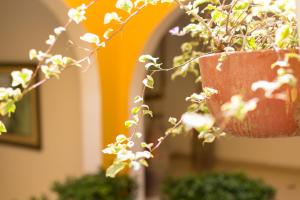 hotel san martin