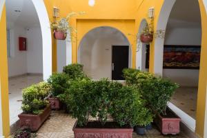 hotel san martin