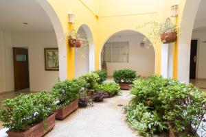 hotel san martin