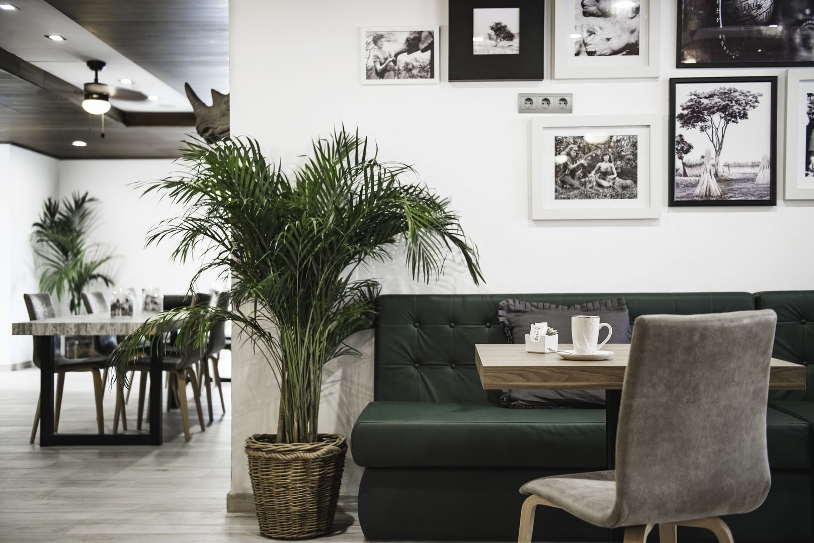 aparthotel vibra mogambo adults only