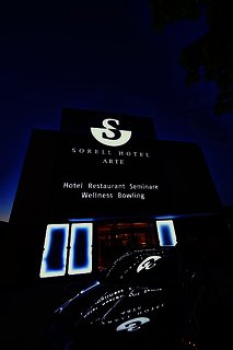 hotel arte