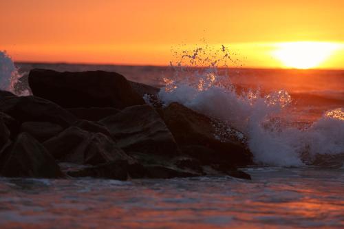 skagen