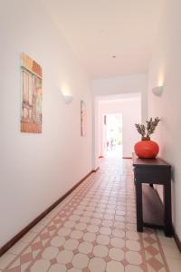 scuba lodge and ocean suites