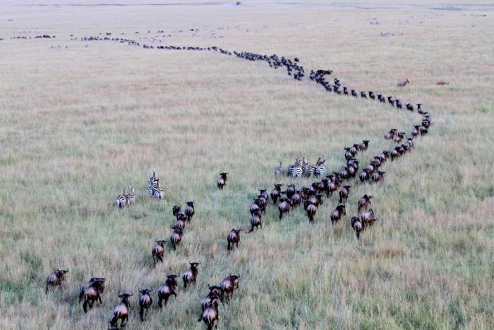 muthu keekorok lodge maasai mara narok