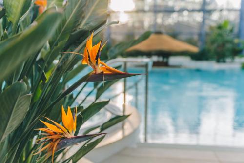 Hotel-Img