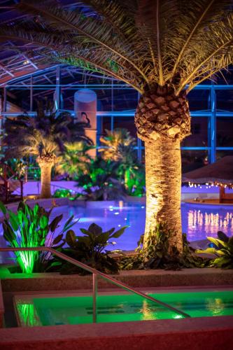 Hotel-Img