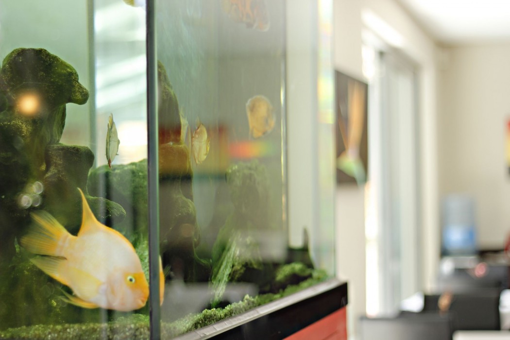 the one 8 hotel