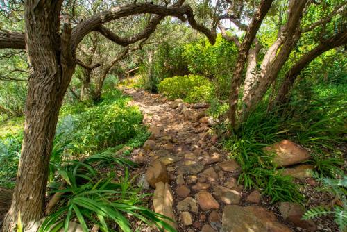 cape town