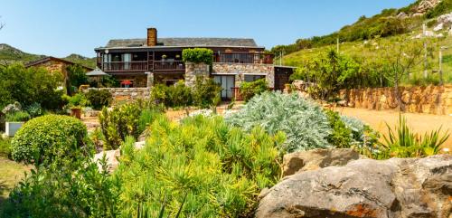 cape town