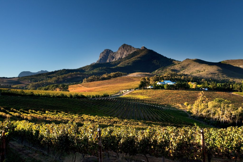 stellenbosch