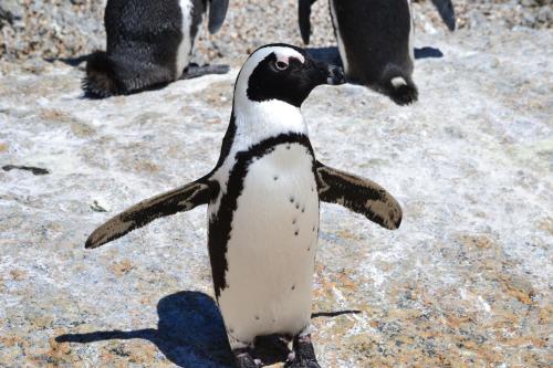 moonglow guest house