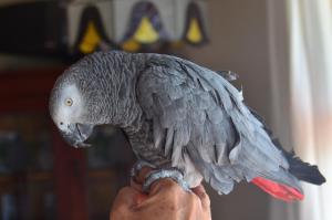 moonglow guest house