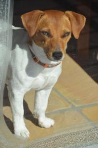 moonglow guest house