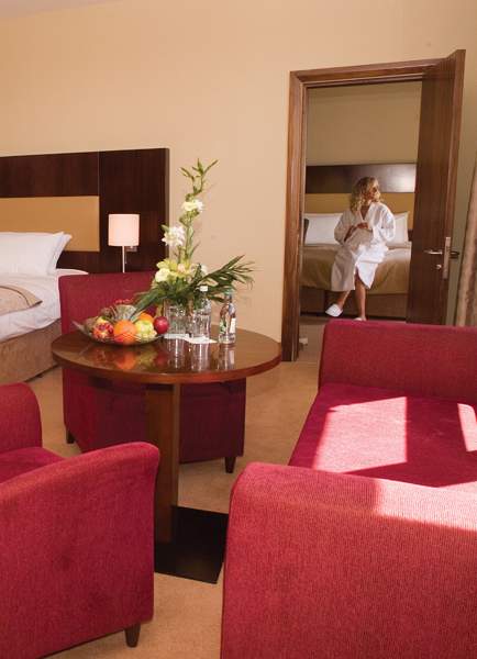 trim castle hotel