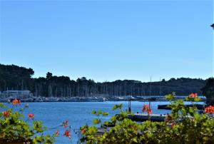 Villa Tuttorotto,Rovinj>>Pula,4 star
