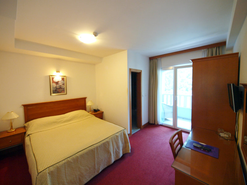 hotel villa dvor