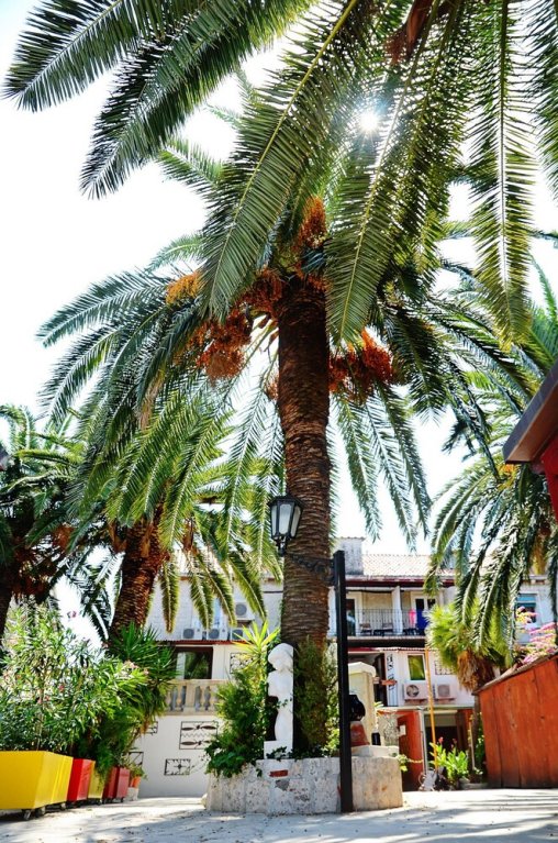 domus maritima