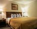 quality inn columbia airport