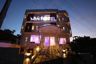 mintotel wayanad