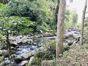 kaziranga