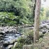 kaziranga