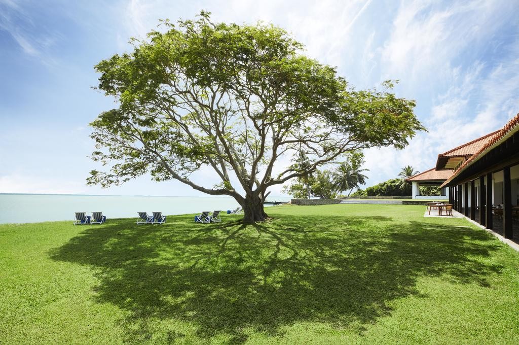 jetwing lagoon wellness a luxury reserve adults only