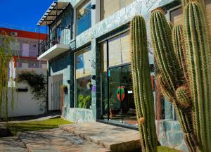 hotel los sauces cafayate