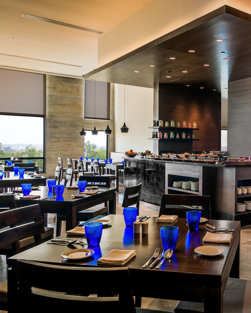 hyatt raipur
