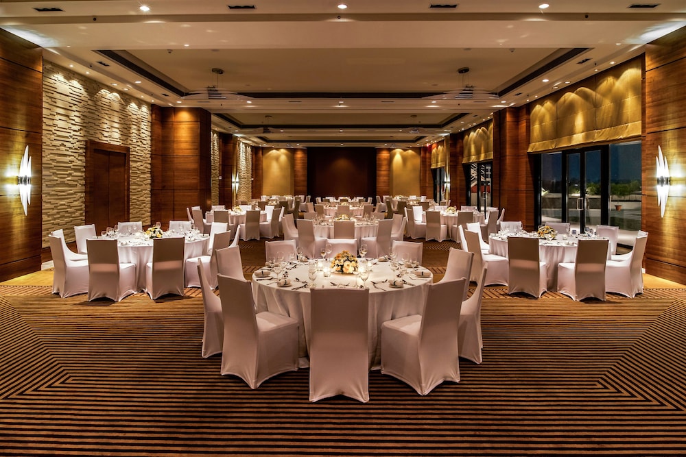 hyatt raipur