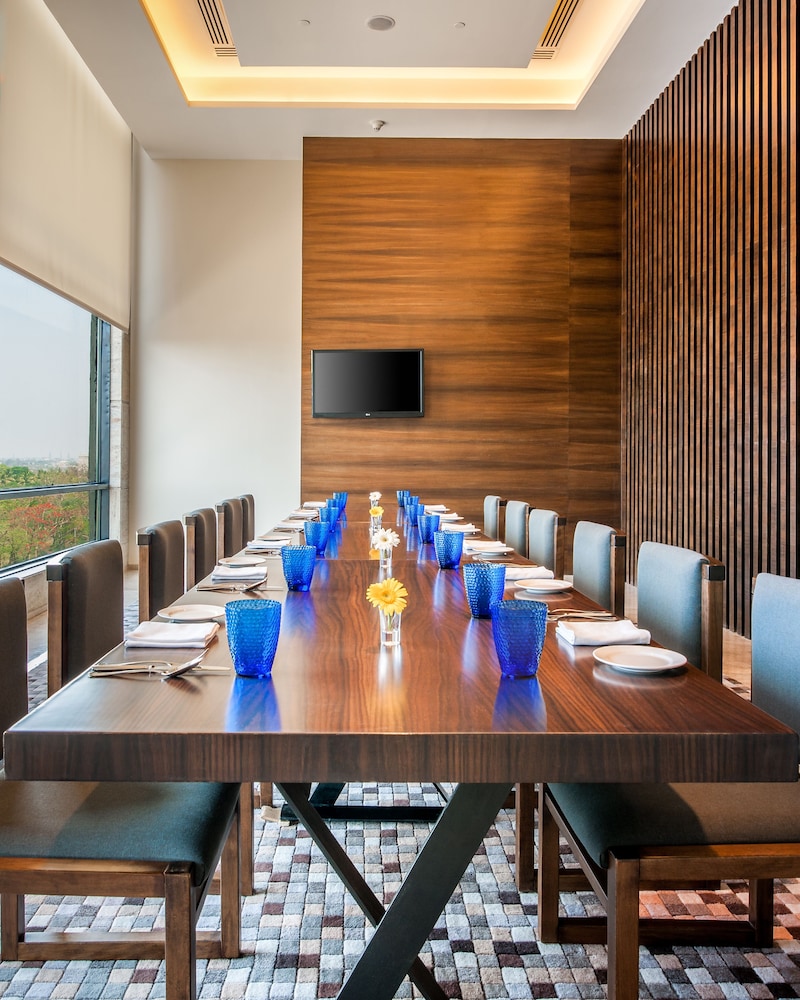hyatt raipur